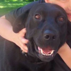 Meet your Posher, Joy